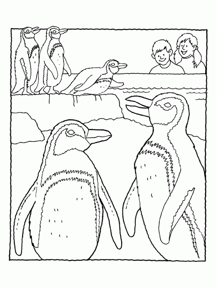 Plansa de colorat cu Pinguin 20 13